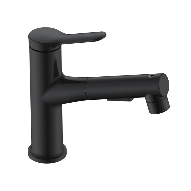 Bathroom Faucet with Pull Out Sprayer Black Bathroom Faucets
