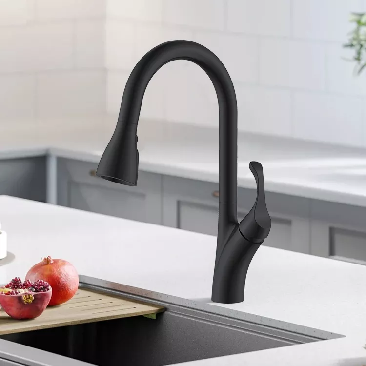 Black Kitchen Faucet Pull Down American Standard Kitchen Faucets