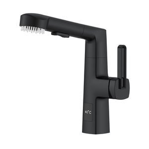 Latest Design Matte Black Pull Out Bathroom Faucet with Hair Brush