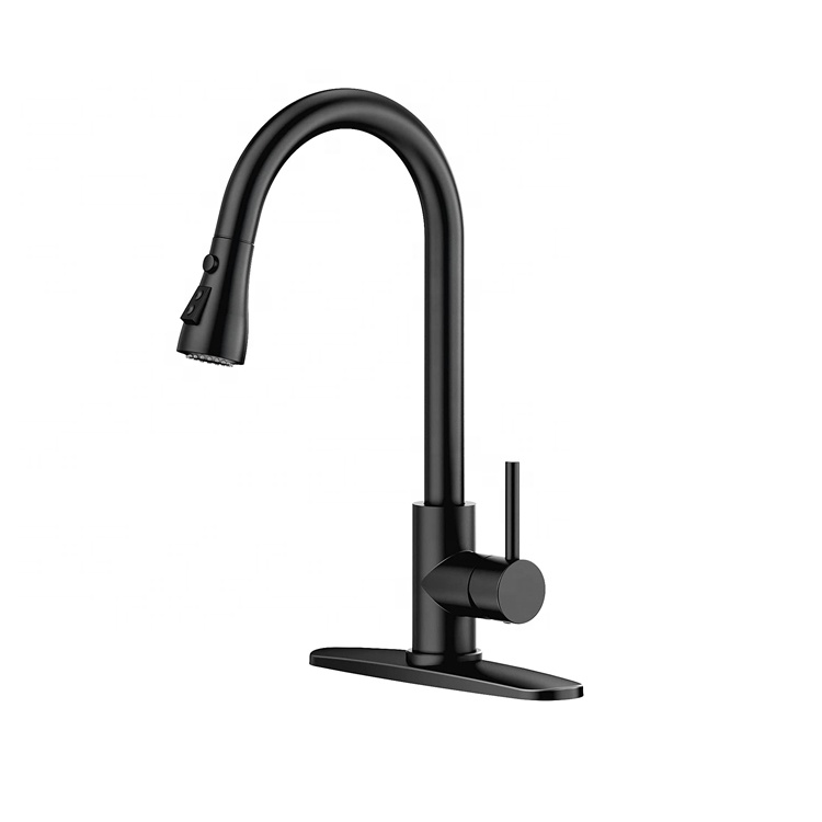 Matte Black Kitchen Faucet Modern Kitchen Sink With Faucet Pull Kitchen Faucet