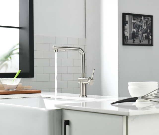 Modern Kitchen Faucet 304 Stainless Steel Pull Out Kitchen Faucet Kitchen Taps