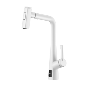 Temperature Display Pull Out Kitchen Faucet Matte White Kitchen Faucet
