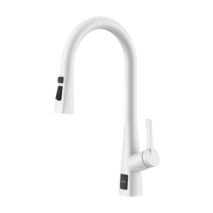 Temperature Display Pull Down Kitchen Faucet Matte White Kitchen Faucet